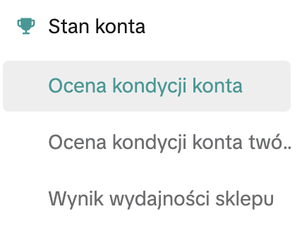 Menu Stan konta w Centrum sprzedawców TikTok Shop