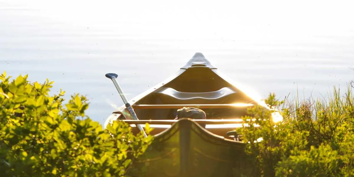 TikTok Live Shopping: Nowa era e-handlu na platformie